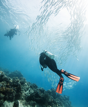 Buceo