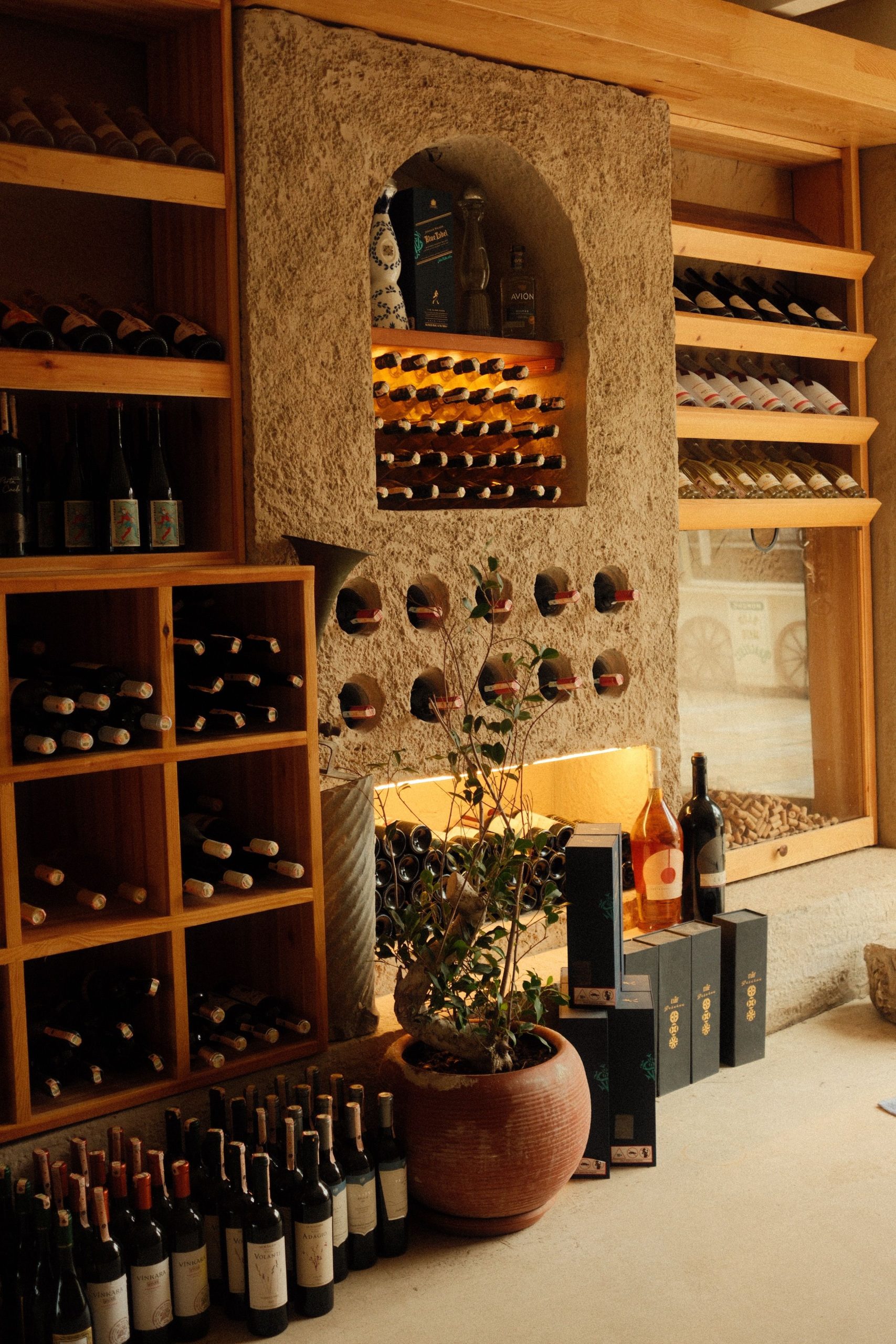 Winery Visit and Wine Tasting